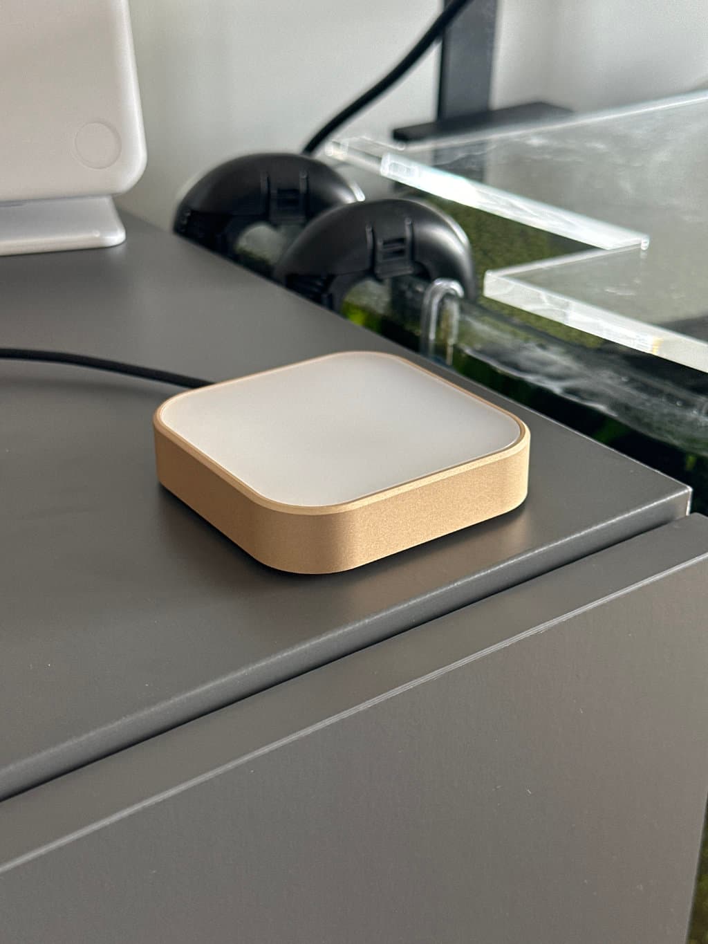 Luma glowing warm on a wooden desk